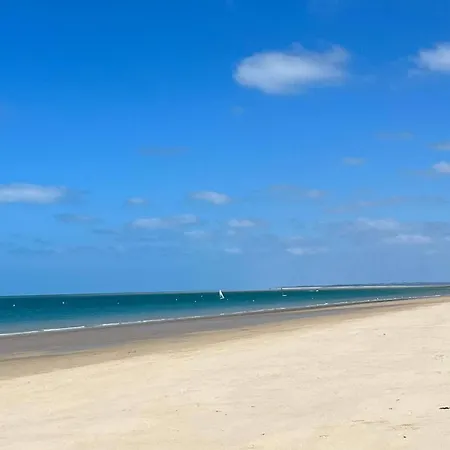 Les Dunes, T1 Rdc Avec Terrasse