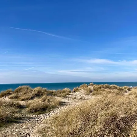 Les Dunes, T1 Rdc Avec Terrasse Appartement *